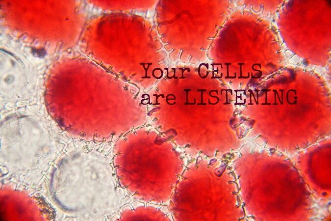 Τα κύτταρά σας ακούνε
